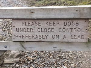 control_dogs