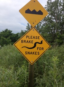 brake_for_snakes